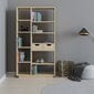 Eraldiseisev riiul Kalune Design Bookshelf 550, helepruun hind ja info | Riiulid | kaup24.ee