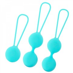 Набор вагинальных шариков «Amoressa Osian Premium», голубой цена и информация | Вагинальные шарики | kaup24.ee