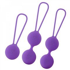 Набор вагинальных шариков «Amoressa Osian Premium», фиолетовый цена и информация | Вагинальные шарики | kaup24.ee