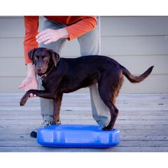 FitPAWS lemmiklooma tasakaaluplatvorm K9FITbone PVC sinine FPK9BONEBL цена и информация | Средства для дрессировки собак | kaup24.ee