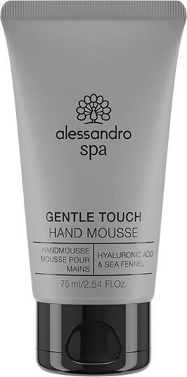 alessandro SPA HAND Gentle Touch - niisutav ja toitev suflee-kreem, 75ml цена и информация | Kehakreemid, kehaspreid | kaup24.ee