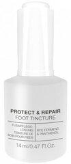 Антибактериальная настойка для ногтей Alessandro Protect & Repair Tincture, 14ml цена и информация | Лаки для ногтей, укрепители для ногтей | kaup24.ee