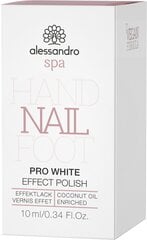 Лак для ногтей  Alessandro Pro White, 10ml цена и информация | Лаки для ногтей, укрепители для ногтей | kaup24.ee