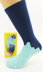 Мужские носки Popsicle socks цена и информация | apollo Сантехника, ремонт, вентиляция | kaup24.ee