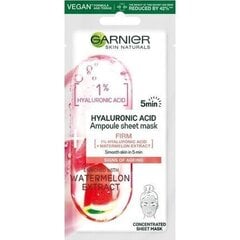 Näoampull-kangasmask hüaluroonhappega Garnier, 1 tk. цена и информация | Маски для лица, патчи для глаз | kaup24.ee