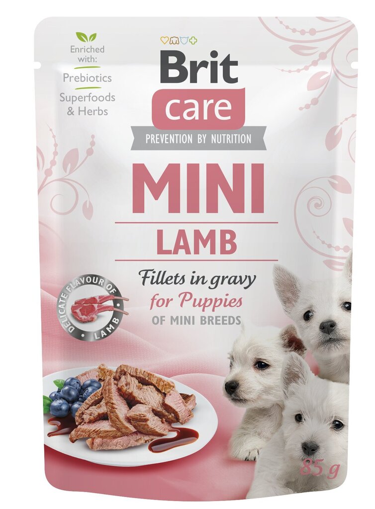 Brit Care Mini pouch Lamb fillets in gravy einekotike kutsikatele 85g цена и информация | Konservid koertele | kaup24.ee