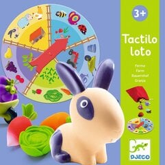 Mäng Tactilo Loto Talu Djeco, DJ08135 hind ja info | Djeco Lapsed ja imikud | kaup24.ee