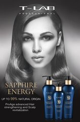 Шампунь для укрепления волос T-LAB Professional Professional Sapphire Energy Duo Shampoo, 300 мл цена и информация | Шампуни | kaup24.ee