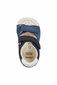Poiste saapad Geox SANDAL ELBA BOY, sinine hind ja info | Laste sandaalid | kaup24.ee