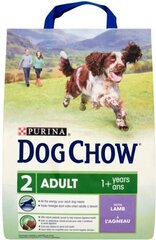 Сухой корм для собак Dog Chow Adult с бараниной 2,5 кг цена и информация | Сухой корм для собак | kaup24.ee