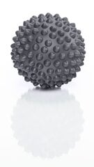 МАССАЖНЫЙ МЯЧ GYMSTICK MASSAGE BALL цена и информация | Аксессуары для массажа | kaup24.ee