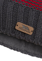 Шапка для мальчиков Trespass Mumford Kids Hat цена и информация | Шапки, перчатки, шарфы для мальчиков | kaup24.ee