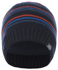 Вязаная шапка мужская Trespass Ray, синяя цена и информация | Мужские шарфы, шапки, перчатки | kaup24.ee