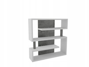Riiul ADRK Furniture Felipe 152x151 cm, valge/hall цена и информация | Полки | kaup24.ee