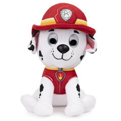 Мягкая игрушка Marshall Щенячий патруль (Paw Patrol), 15 см цена и информация | Мягкие игрушки | kaup24.ee