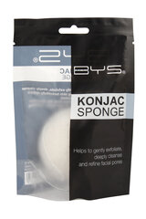 Näopesukäsn Konjac White BYS цена и информация | Кисти для макияжа, спонжи | kaup24.ee