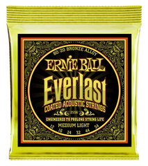 Keeled akustilisele kitarrile Ernie Ball Everlast 0.012-0.054 hind ja info | Ernie Ball Muusikainstrumendid ja tarvikud | kaup24.ee