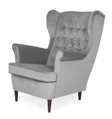 Кресло TMS Prince, серое цена и информация | Кресла для отдыха | kaup24.ee