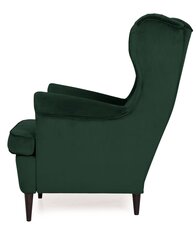 Кресло TMS Prince, зеленое цена и информация | Кресла в гостиную | kaup24.ee