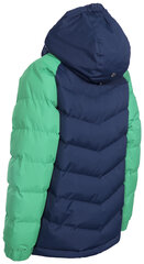 Куртка повседневная для мальчиков Sidespin, синяя цена и информация | Куртки для мальчиков | kaup24.ee