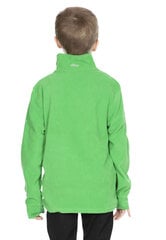 Джемпер для мальчиков Trespass Masonville Male Microfleece AT100, зеленый цена и информация | Свитеры, жилетки, пиджаки для мальчиков | kaup24.ee