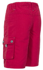Poiste lühikesed vabaajapüksid Trespass Marty, roosa hind ja info | Trespass Poiste riided | kaup24.ee