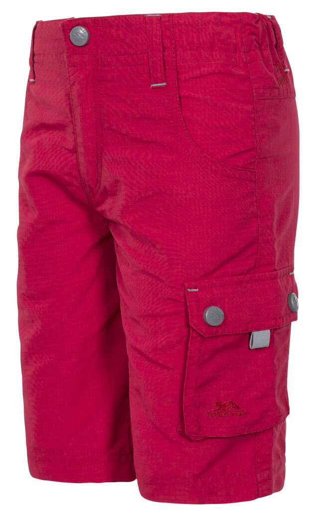 Poiste lühikesed vabaajapüksid Trespass Marty, roosa hind ja info | Poiste lühikesed püksid | kaup24.ee