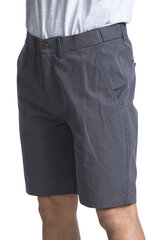 Trespass Atom lühikesed püksid meestele, hallid hind ja info | Meeste lühikesed püksid | kaup24.ee