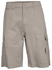 Trespass Rawson lühikesed püksid meestele, hallid hind ja info | Meeste lühikesed püksid | kaup24.ee