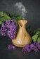 Ultraheli eeterliku õli parfüümi hajuti - niisutaja Vonivi Tulip 400 ml цена и информация | Õhuniisutajad | kaup24.ee