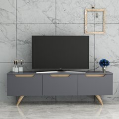 TV-laud Kalune Design 382, 150 cm, hall цена и информация | Тумбы под телевизор | kaup24.ee