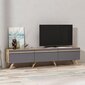 TV-laud Kalune Design 382, 180 cm, hall цена и информация | TV alused | kaup24.ee