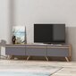 TV-laud Kalune Design 382, 180 cm, hall цена и информация | TV alused | kaup24.ee