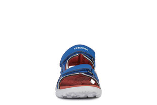 Avatud sandaalid Geox, sinine hind ja info | Laste sandaalid | kaup24.ee