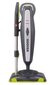 Aurupuhasti Hoover CAN 1700 R 011 1700 W hind ja info | Aurupuhastid, aurumopid | kaup24.ee