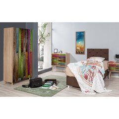 Riidekapp Kalune Design Wardrobe 863 (I), 90 cm, tamme värv/mitmevärviline цена и информация | Шкафы | kaup24.ee