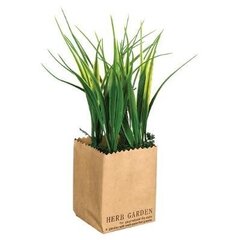 Искусственное растение в бумажной упаковке, 21 см цена и информация | Искусственные цветы | kaup24.ee