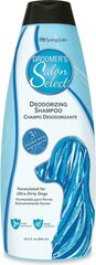 Ebameeldivat lõhna eemaldav šampoon koertele Groomer's Salon Select Deodorizing, 544 ml hind ja info | Karvahooldustooted loomadele | kaup24.ee