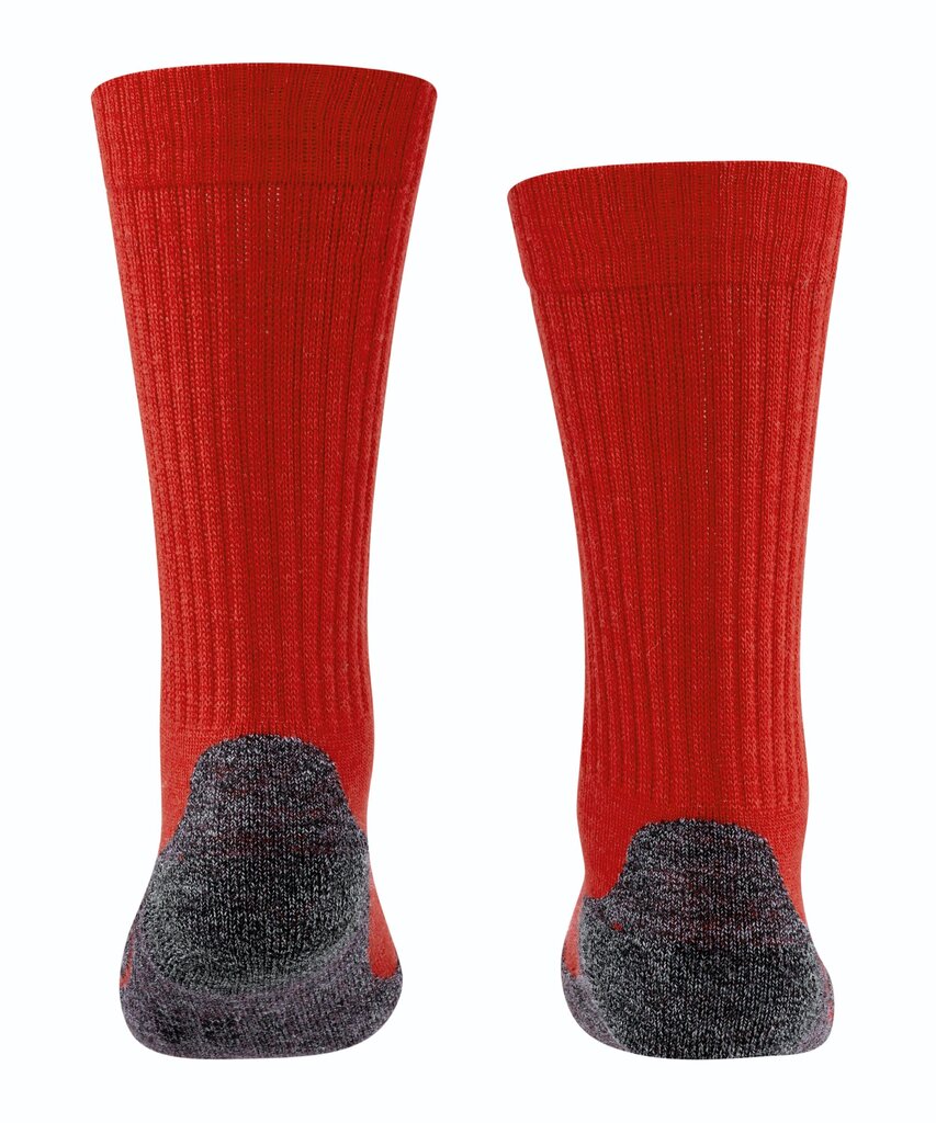 Falke Active Warm sokid, punased hind ja info | Poiste sukkpüksid ja sokid | kaup24.ee