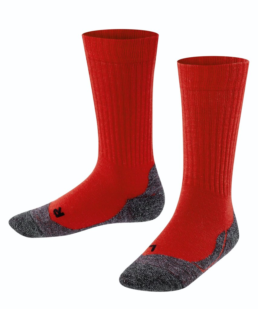 Falke Active Warm sokid, punased hind ja info | Poiste sukkpüksid ja sokid | kaup24.ee