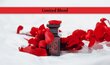 parfüüm Extreme Santal by Refan hind ja info | Naiste parfüümid | kaup24.ee