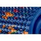 Lyapko Suur Rull (Valts) 5.0 Ag 111mm-D61mm цена и информация | Massaažikaubad | kaup24.ee