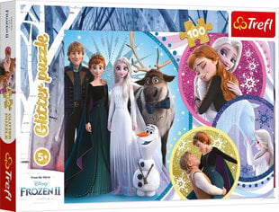 Pusle Frozen, 100 tk hind ja info | Pusled | kaup24.ee