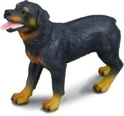 Kuju Rottweileri tõugu koer Collecta (L), 88189 hind ja info | Poiste mänguasjad | kaup24.ee