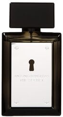 Antonio Banderas The Secret EDT meestele 50 ml hind ja info | Meeste parfüümid | kaup24.ee