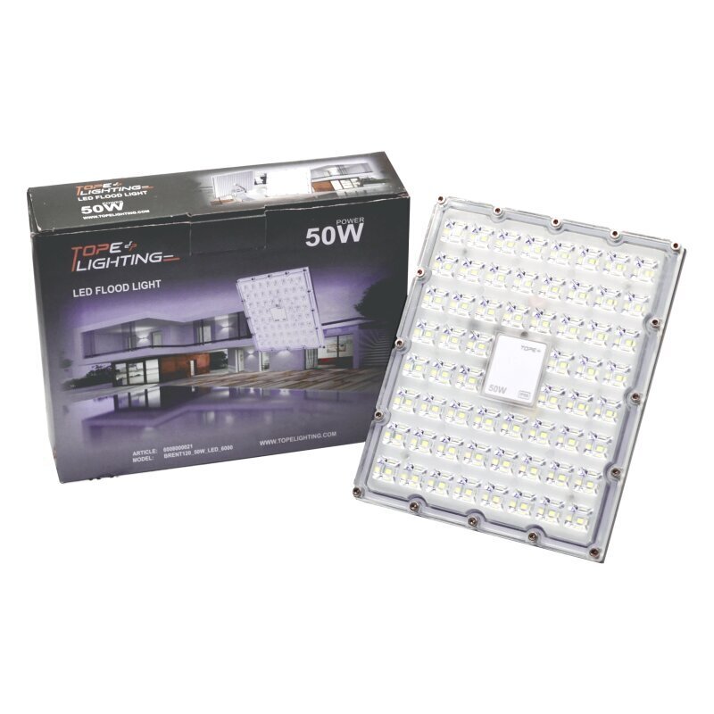 LED-välisprožektor Brent 50 W цена и информация | Rippvalgustid | kaup24.ee