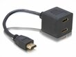 Adapter Delock HDMI -> HDMI 2x hind ja info | USB jagajad, adapterid | kaup24.ee