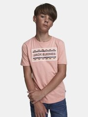 Poiste triiksärk Jack & Jones JORTULUM TEE цена и информация | Рубашки для мальчиков | kaup24.ee