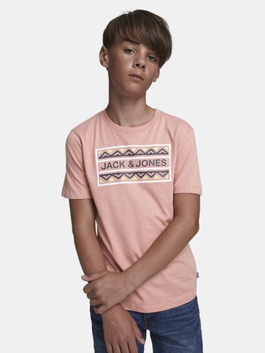 Poiste triiksärk Jack & Jones JORTULUM TEE hind ja info | Poiste särgid | kaup24.ee