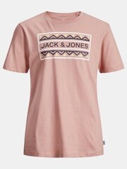 Poiste triiksärk Jack & Jones JORTULUM TEE hind ja info | Poiste särgid | kaup24.ee